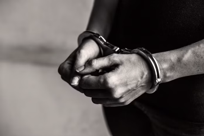 Offenses Against the State under BNS