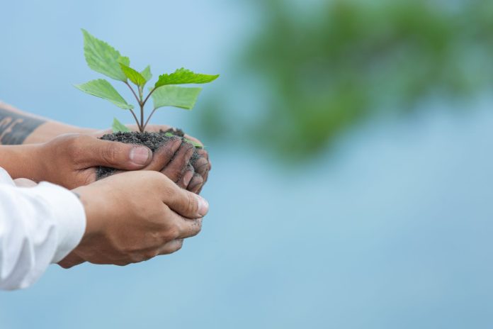 Sustainable Development